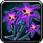 Sorrowmoss